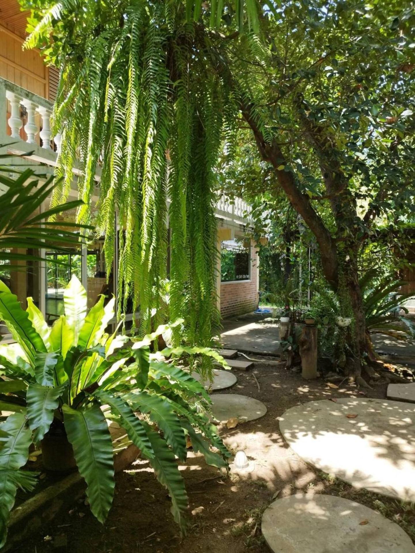 Atelier 36 Hotel Chiang Mai Luaran gambar